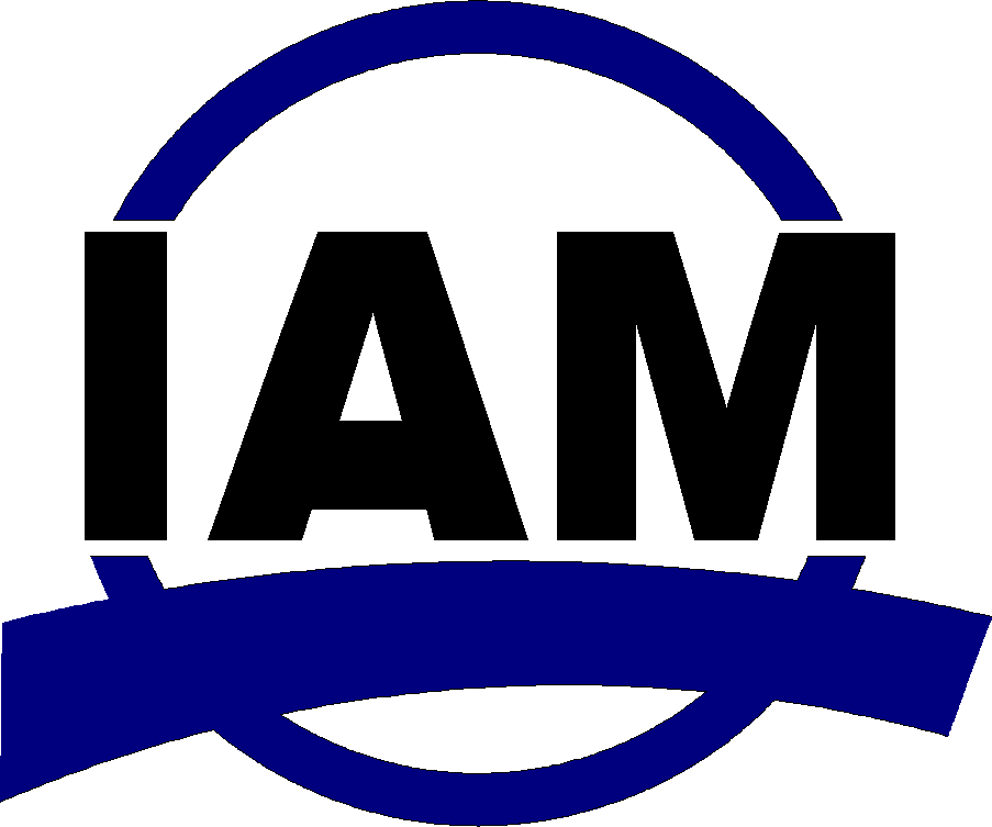 Logo der IAM GmbH